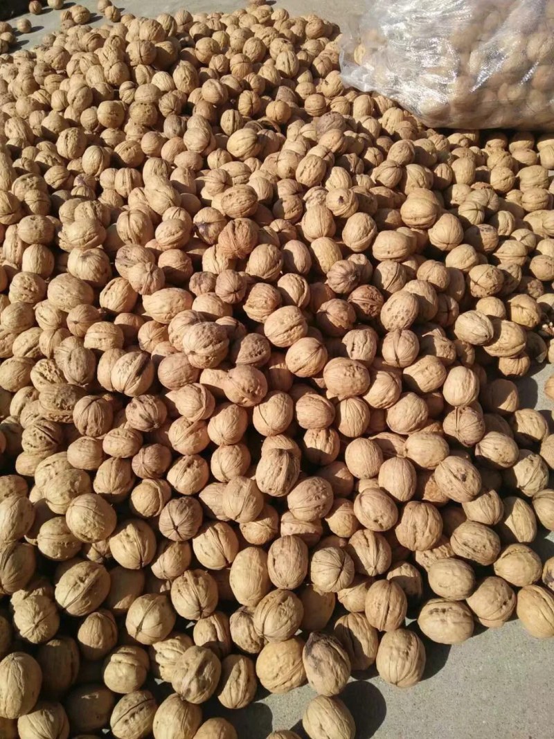 薄皮核桃，大量供应，产地直销，价格便宜，质量高