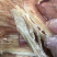 鱿鱼翅手撕鱿鱼片原味即食海产品