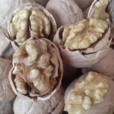 薄皮核桃，大量供应，价格便宜，质量高产地直销