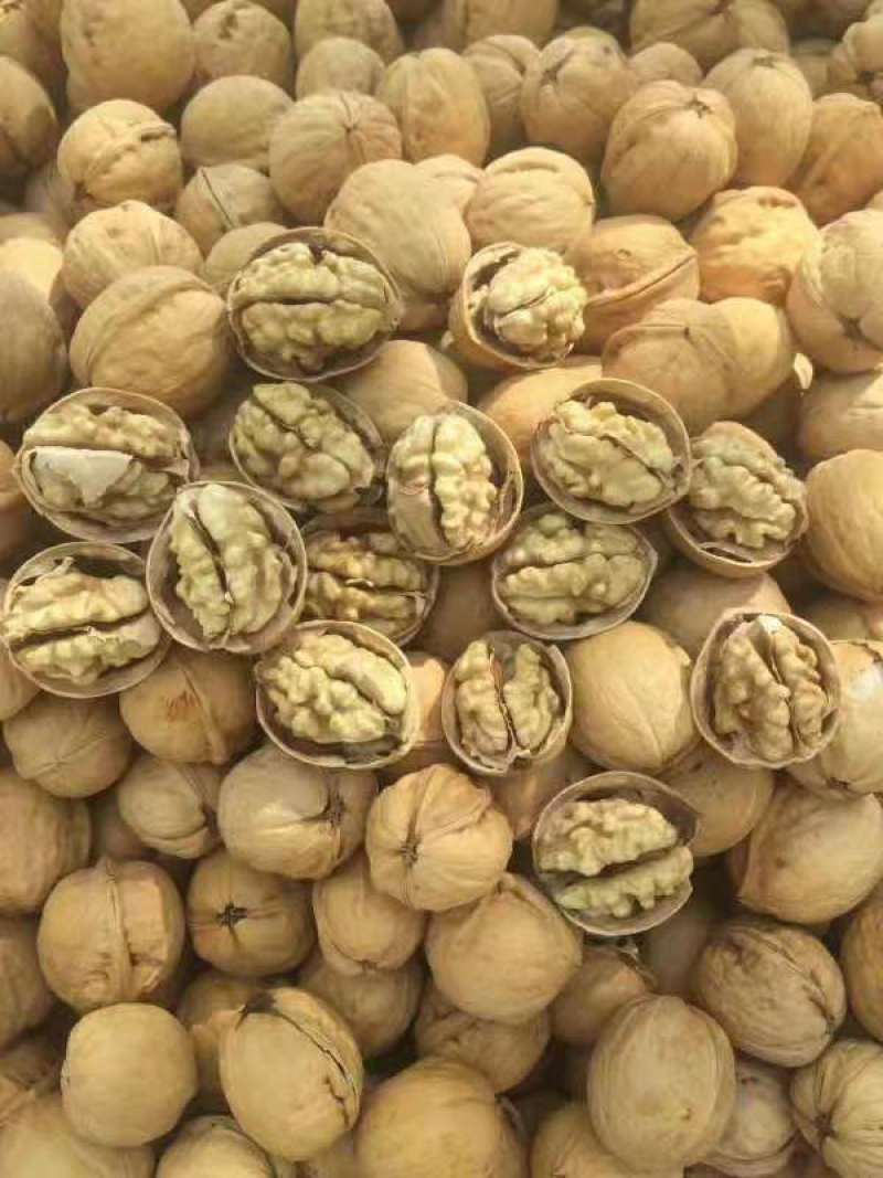 薄皮核桃，大量供应，价格便宜，质量高，产地直销