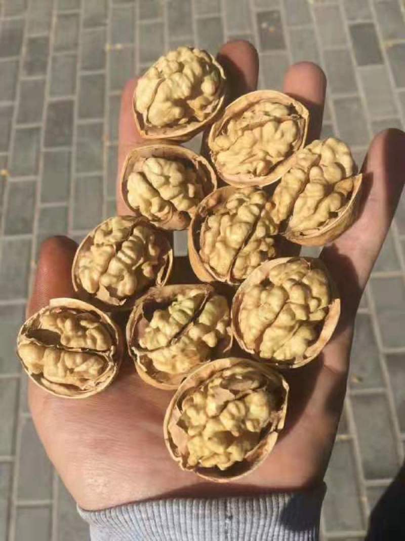 薄皮核桃，大量供应，价格便宜，质量高，产地直销