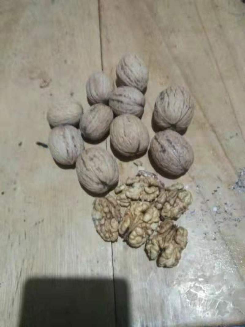 薄皮核桃，大量供应，价格便宜，质量高，产地直销