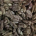 云南大理漾鼻紫皮核桃仁