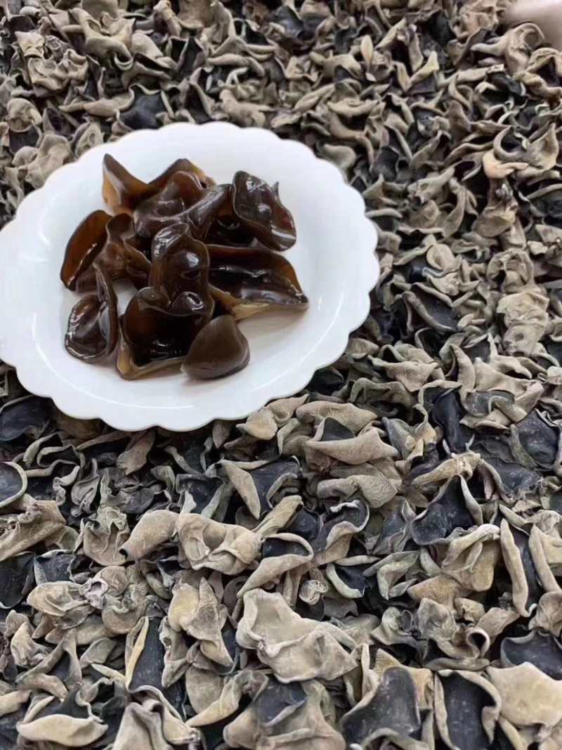 木耳黑木耳小朵250克500克泡发率高