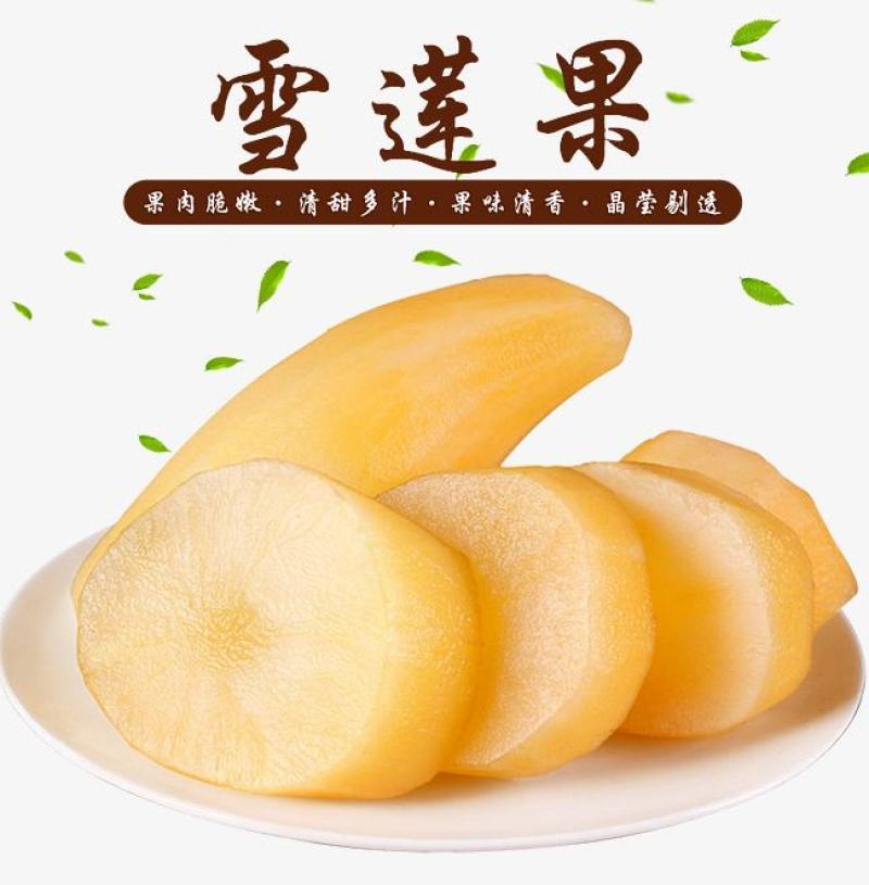 云南天山雪莲果5斤装包邮非马铃薯9斤包邮