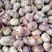 金乡紫皮大蒜，支持各种包装，商超团购外贸代发全国各大市场