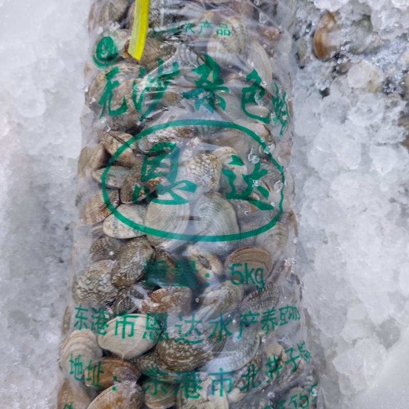 花甲（每日新鲜到货，活力好，价格便宜，大中型号都有）