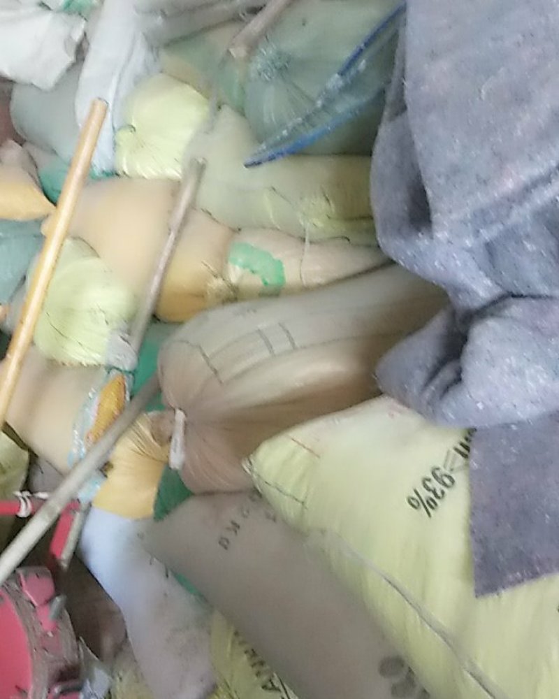 养殖场**玉米提前预定