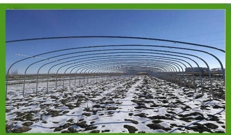 养殖温室大棚骨架可用于鸡鸭鹅猪牛羊养殖种植蔬菜大棚