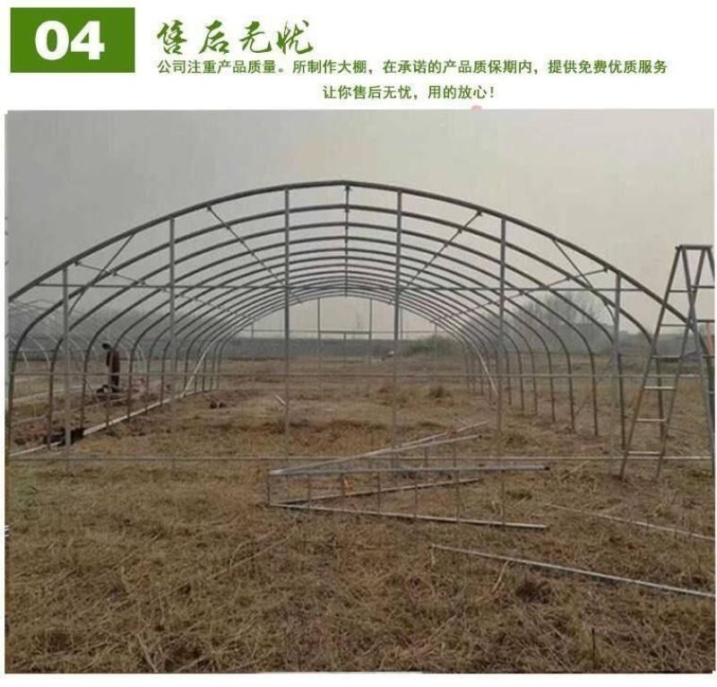 养殖温室大棚骨架可用于鸡鸭鹅猪牛羊养殖种植蔬菜大棚