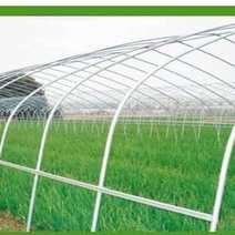 养殖温室大棚骨架可用于鸡鸭鹅猪牛羊养殖种植蔬菜大棚