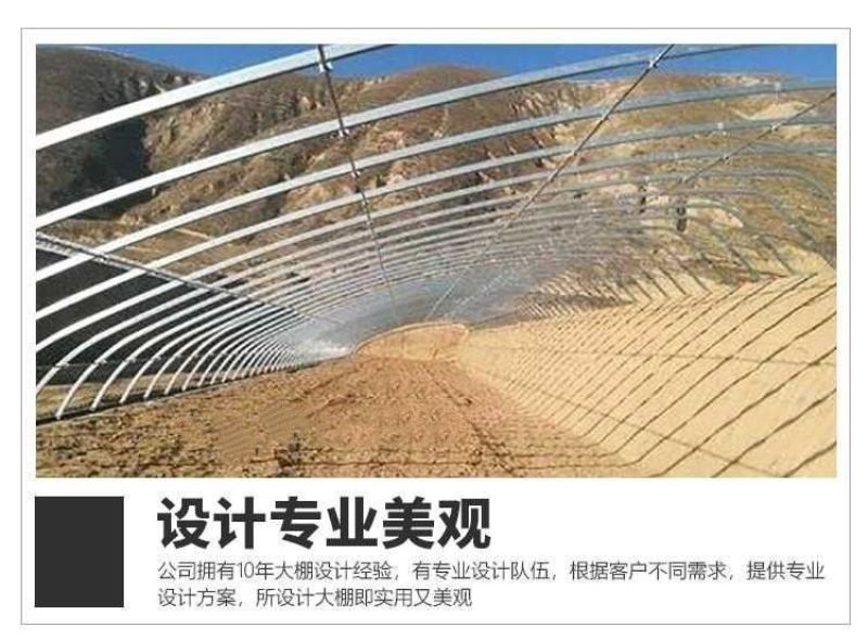 养殖温室大棚骨架可用于鸡鸭鹅猪牛羊养殖种植蔬菜大棚