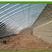 养殖温室大棚骨架可用于鸡鸭鹅猪牛羊养殖种植蔬菜大棚