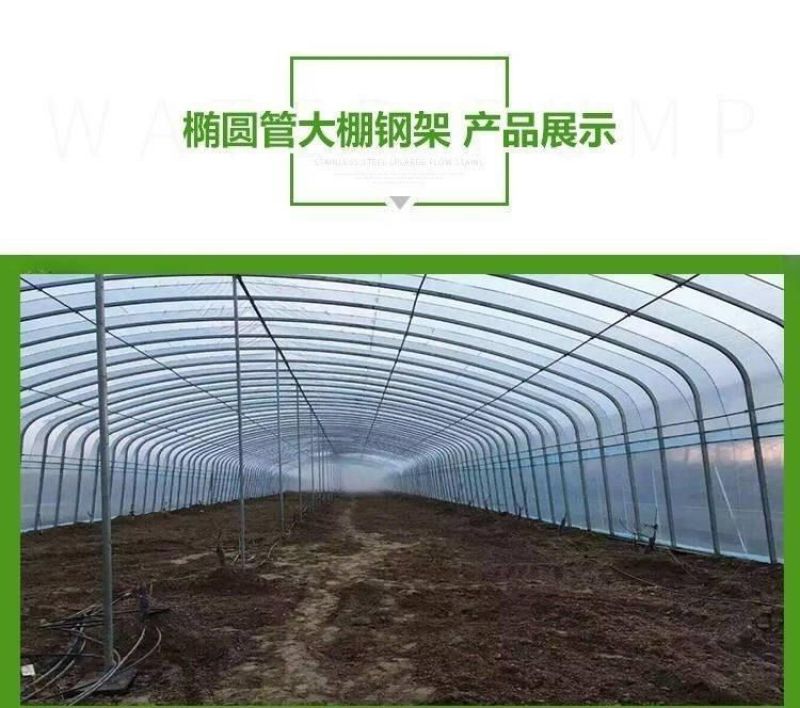 养殖温室大棚骨架可用于鸡鸭鹅猪牛羊养殖种植蔬菜大棚