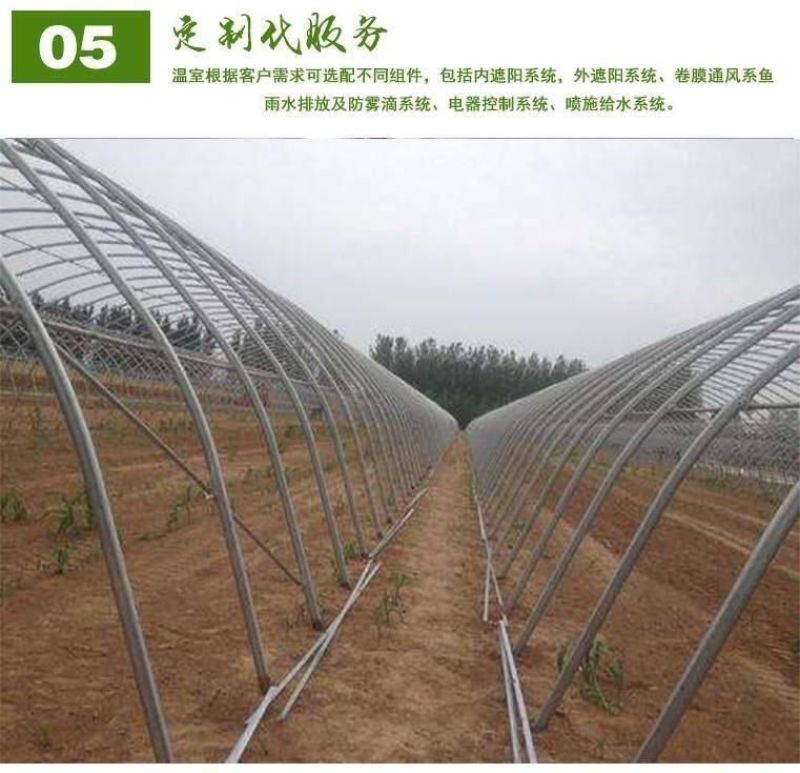 养殖温室大棚骨架可用于鸡鸭鹅猪牛羊养殖种植蔬菜大棚