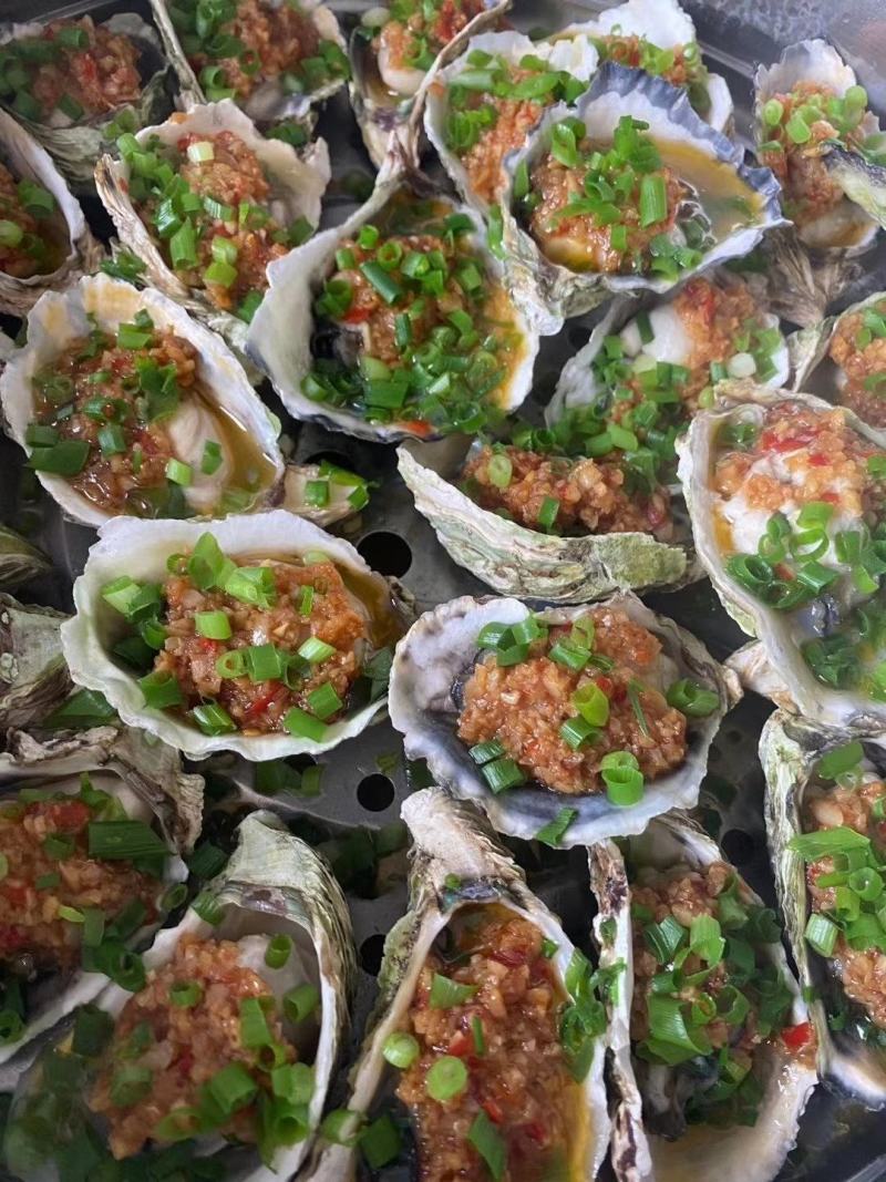 网红小蚝（大海洋牌，一件23个左右，肉质肥美，物美价廉）