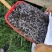 厂家直销纯羊粪物美价廉优惠多多欢迎咨询纯羊粪有机肥