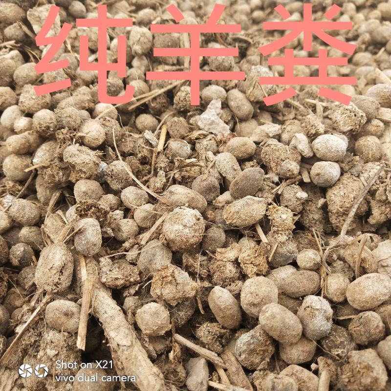 厂家直销纯羊粪物美价廉优惠多多欢迎咨询纯羊粪有机肥