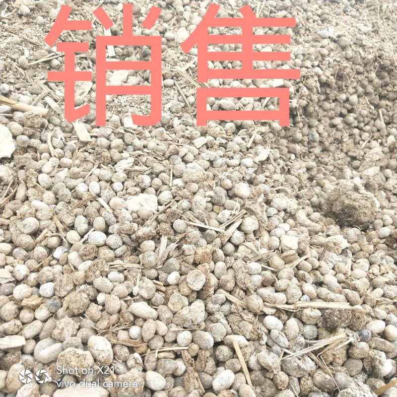 厂家直销纯羊粪物美价廉优惠多多欢迎咨询纯羊粪有机肥