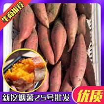 河北烟薯烟薯25糖化烟薯规格可选，烤薯店，电商可供。