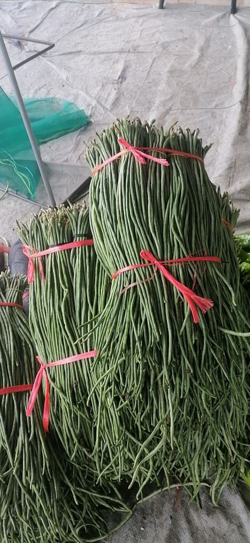 润丰蔬菜货站诚信代办各种蔬菜至优惠的价格保质量高品质