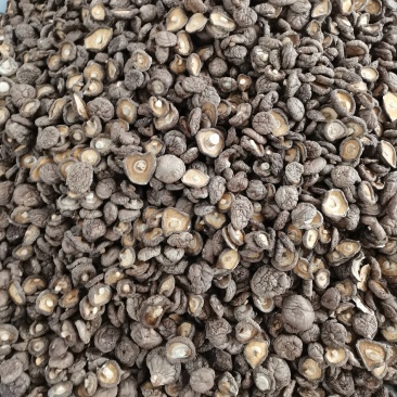 食用菌干香菇佛都基地的干货