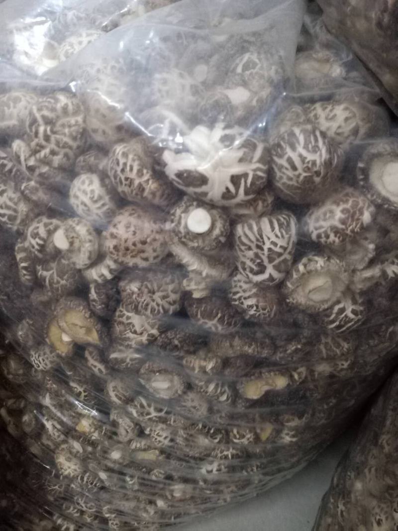 食用菌干香菇佛都基地的干货