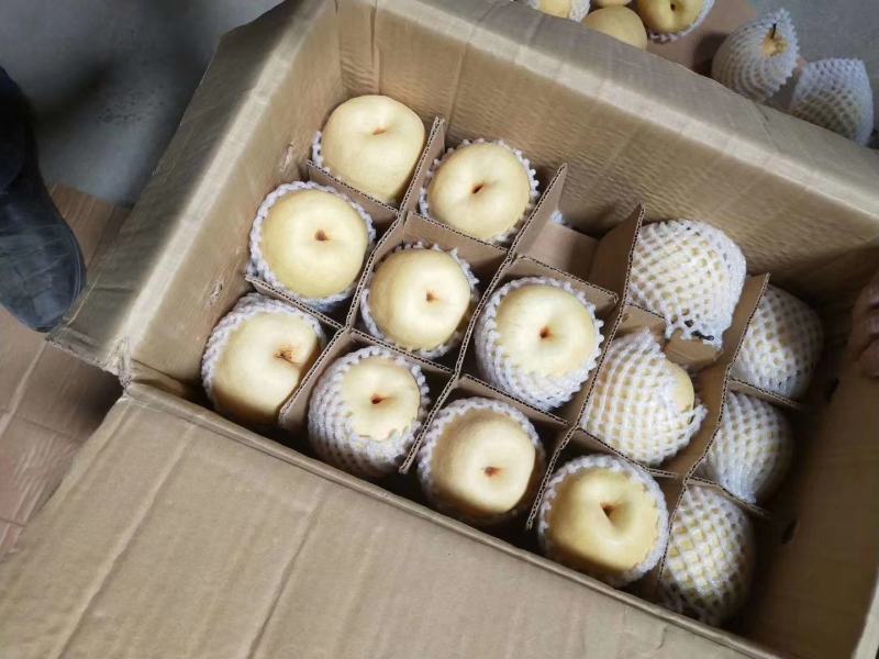 黄山梨红香酥梨上市供应