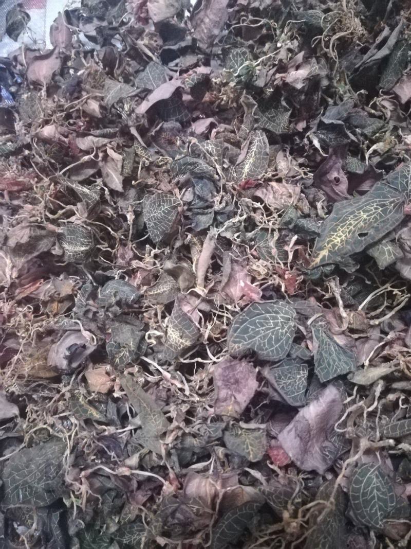 广西野生小叶金线莲干货(足干)