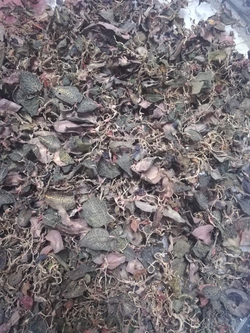 广西野生小叶金线莲干货(足干)
