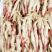 5万斤峨眉山生态仔姜