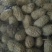 罗汉花生果，籽粒饱满，水份十四以内，