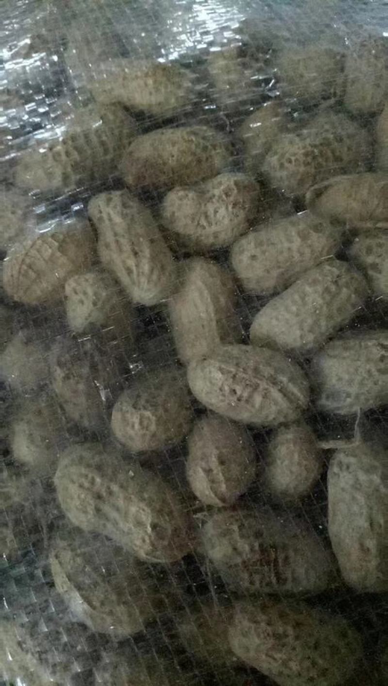 罗汉花生果，籽粒饱满，水份十四以内，