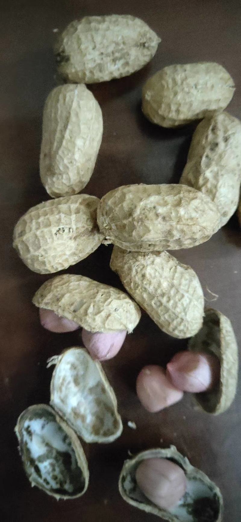 罗汉花生果，籽粒饱满，水份十四以内，