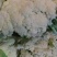 花菜，有机散花质量好，价格便宜，量大从优。
