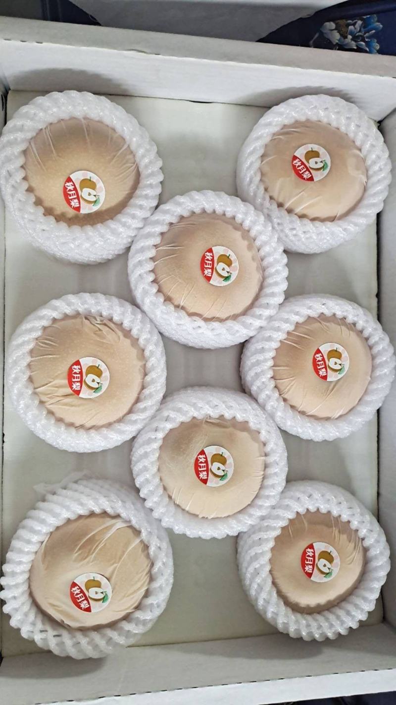 山东秋月梨礼盒装精品礼盒批发市场专用水果连锁店一件代发
