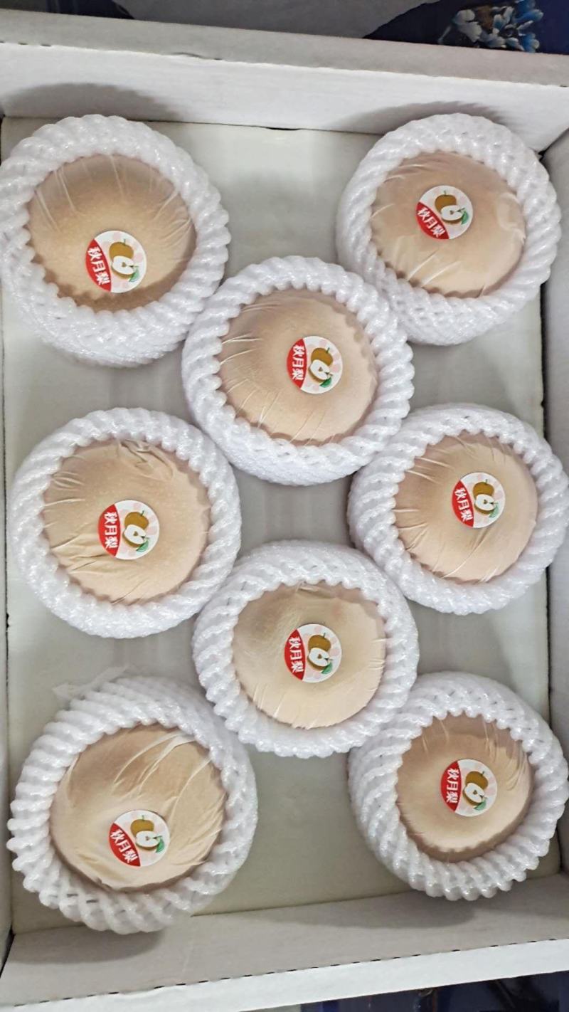 山东秋月梨礼盒装精品礼盒批发市场专用水果连锁店一件代发