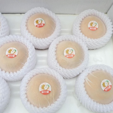 山东秋月梨礼盒装精品礼盒批发市场专用水果连锁店一件代发