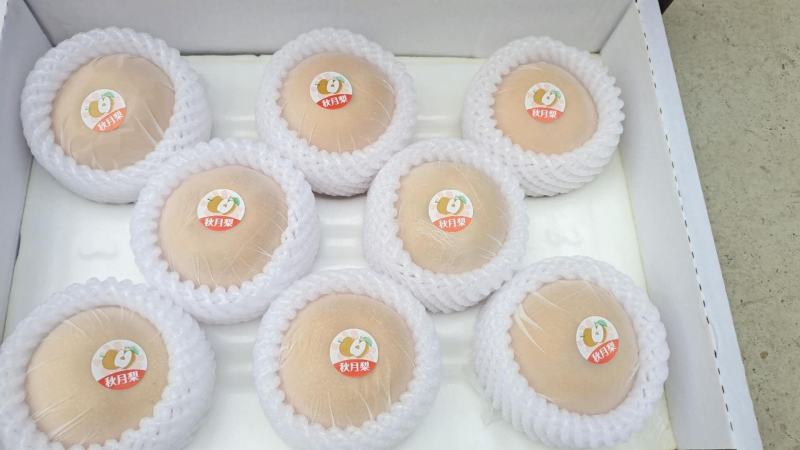 山东秋月梨礼盒装精品礼盒批发市场专用水果连锁店一件代发