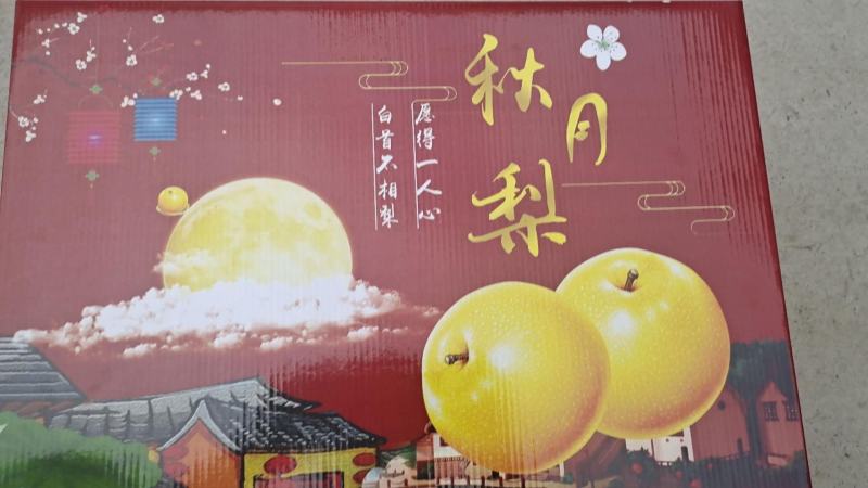 山东秋月梨礼盒装精品礼盒批发市场专用水果连锁店一件代发