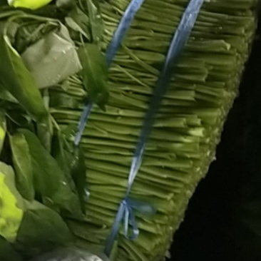 空心菜本地散装空心菜