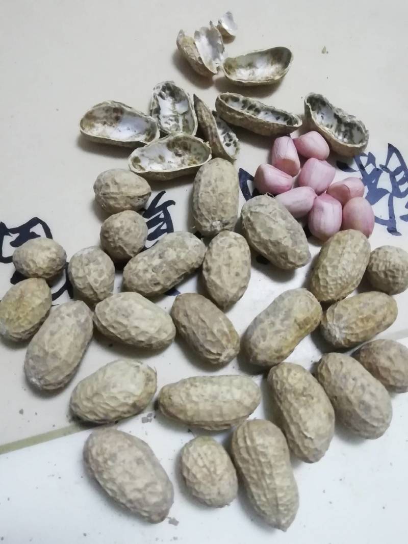 花生果通货四百亩，有需要的赶快了