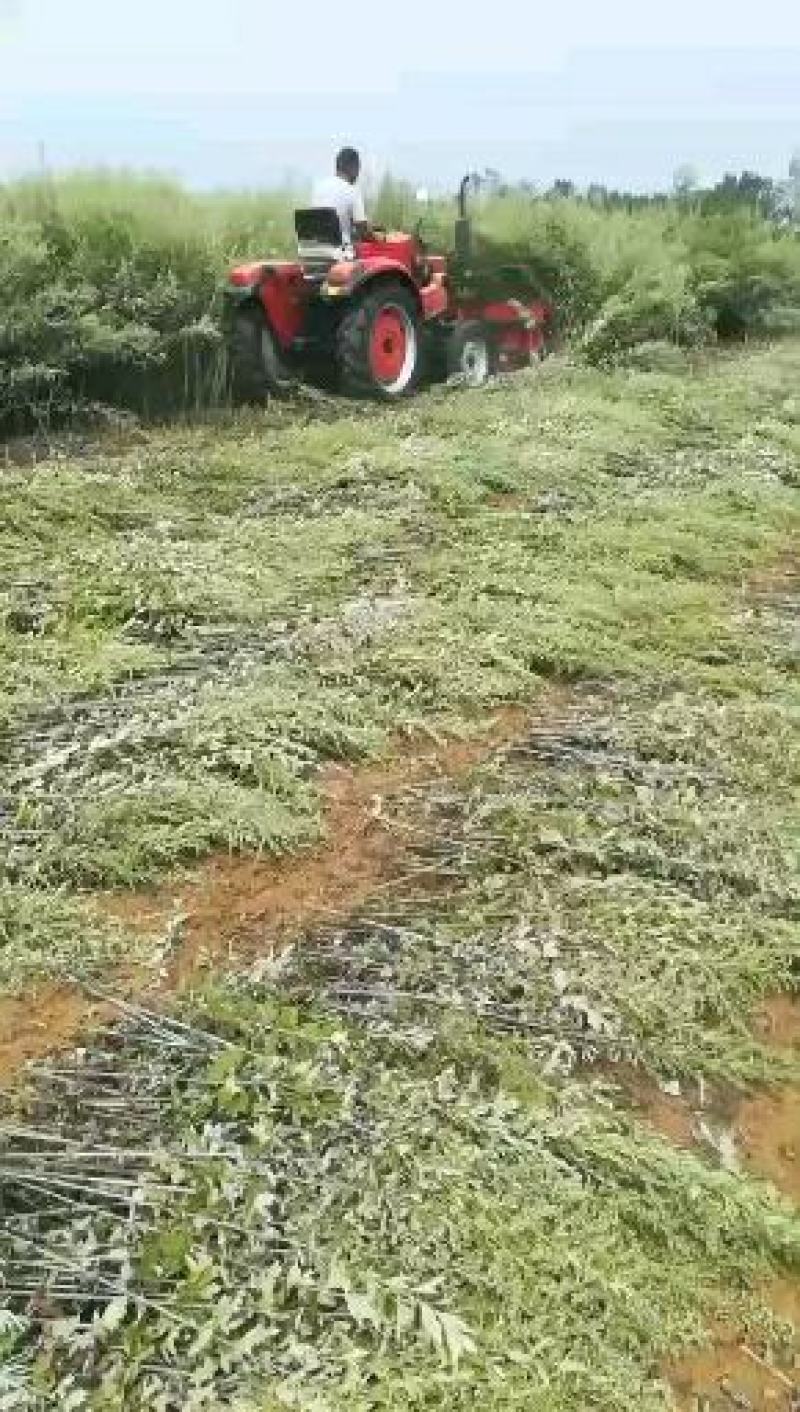 艾草中药足浴包，洗脚包，泡澡包，厂家直销超低价包邮