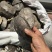 各种产地鳖甲，干净无杂质无硫无熏蒸一手货源
