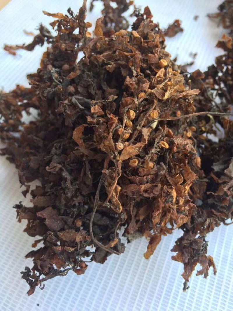 海藻【包邮】三斤起发货可批量可零售量大从优
