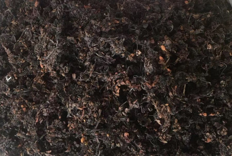 海藻【包邮】三斤起发货可批量可零售量大从优