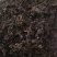 海藻【包邮】三斤起发货可批量可零售量大从优
