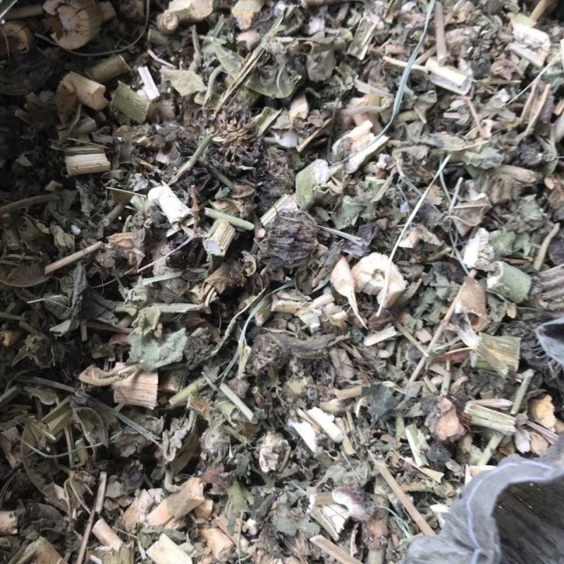 磨盘草野生中药材茼麻草耳响草响耳草磨龙草金花草耳聋