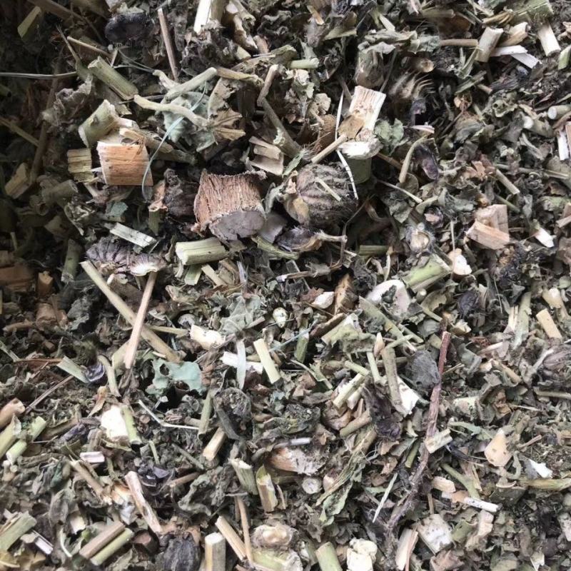 磨盘草野生中药材茼麻草耳响草响耳草磨龙草金花草耳聋