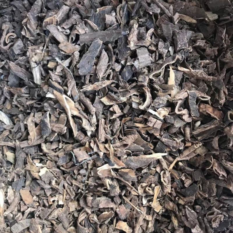 中药材鸟不宿根楤木白皮葱木鸟不落忽木白皮